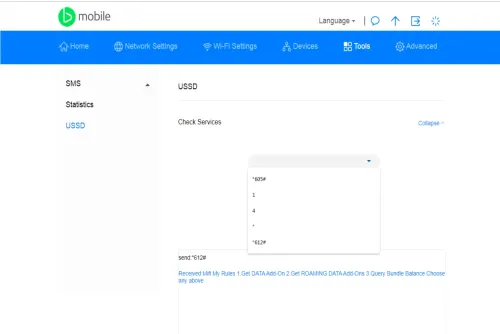 Web manager USSD page with the Check Services command box